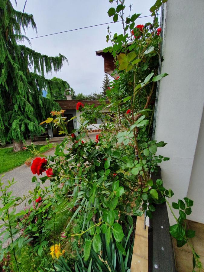 Amrusch Apartmán